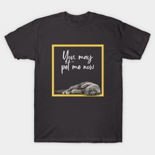 You may pet me now T-Shirt